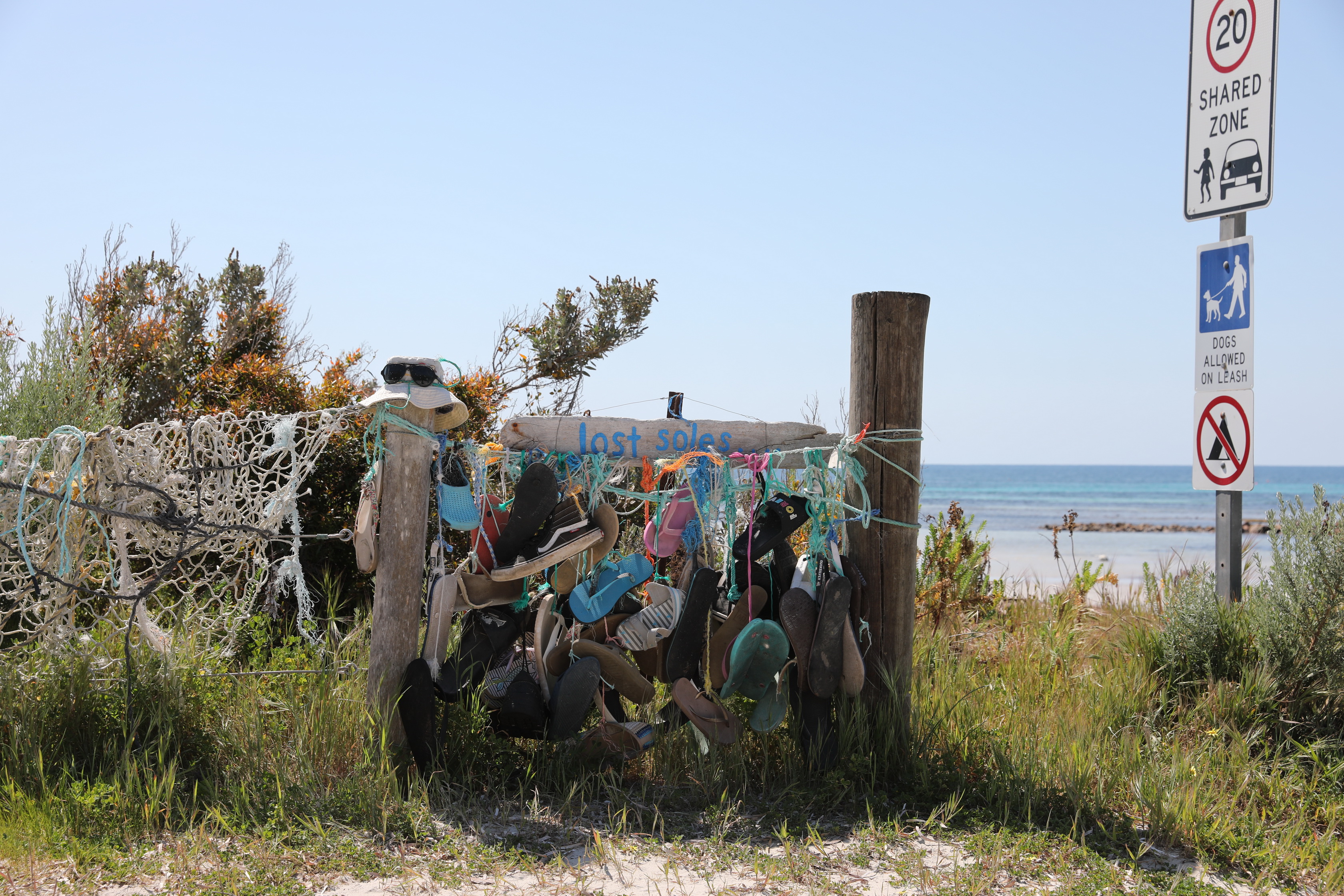 2019 10 03 13 07 56 Canon EOS 5D Mark IV 0001